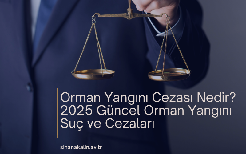 Orman Yangını Cezası Nedir? 2025 Güncel Orman Yangını Suç ve Cezaları