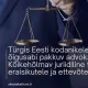 Türgis Eesti kodanikele õigusabi pakkuv advokaat – Kõikehõlmav juriidiline tugi eraisikutele ja ettevõtetele