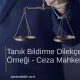 Tanık Bildirme Dilekçe Örneği