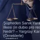 Şüpheden Sanık Yararlanır İlkesi (in dubio pro reo) Nedir? – Yargıtay Kararları (Örneklerle)