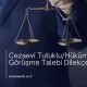 Cezaevi Tutuklu/Hükümlü ile Görüşme Talebi Dilekçesi