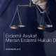 Erdemli Avukat