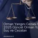 Orman Yangını Cezası Nedir?