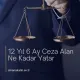12 Yıl 6 Ay Ceza Alan Ne Kadar Yatar