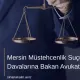 Mersin Müstehcenlik Suçu Davalarına Bakan Avukatlar