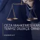 CEZA MAHKEMESİ KARARINI TEMYİZ DİLEKÇE ÖRNEĞİ