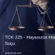 TCK 225 - Hayasızca Hareketler Suçu