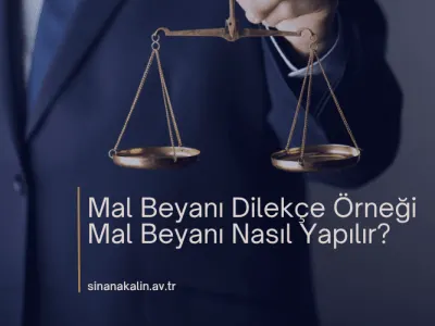 Mal Beyanı Dilekçe Örneği