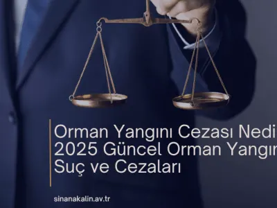 Orman Yangını Cezası Nedir?
