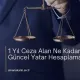 1 Yıl Ceza Alan Ne Kadar Yatar? – Güncel Yatar Hesaplama