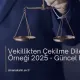 Vekillikten Çekilme Dilekçesi Örneği