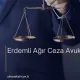 Erdemli Ağır Ceza Avukatı