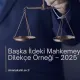 Başka İldeki Mahkemeye Dilekçe Örneği