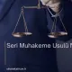 Seri Muhakeme Usulü Nedir?
