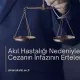 Akıl Hastalığı Nedeniyle Cezanın İnfazının Ertelenmesi